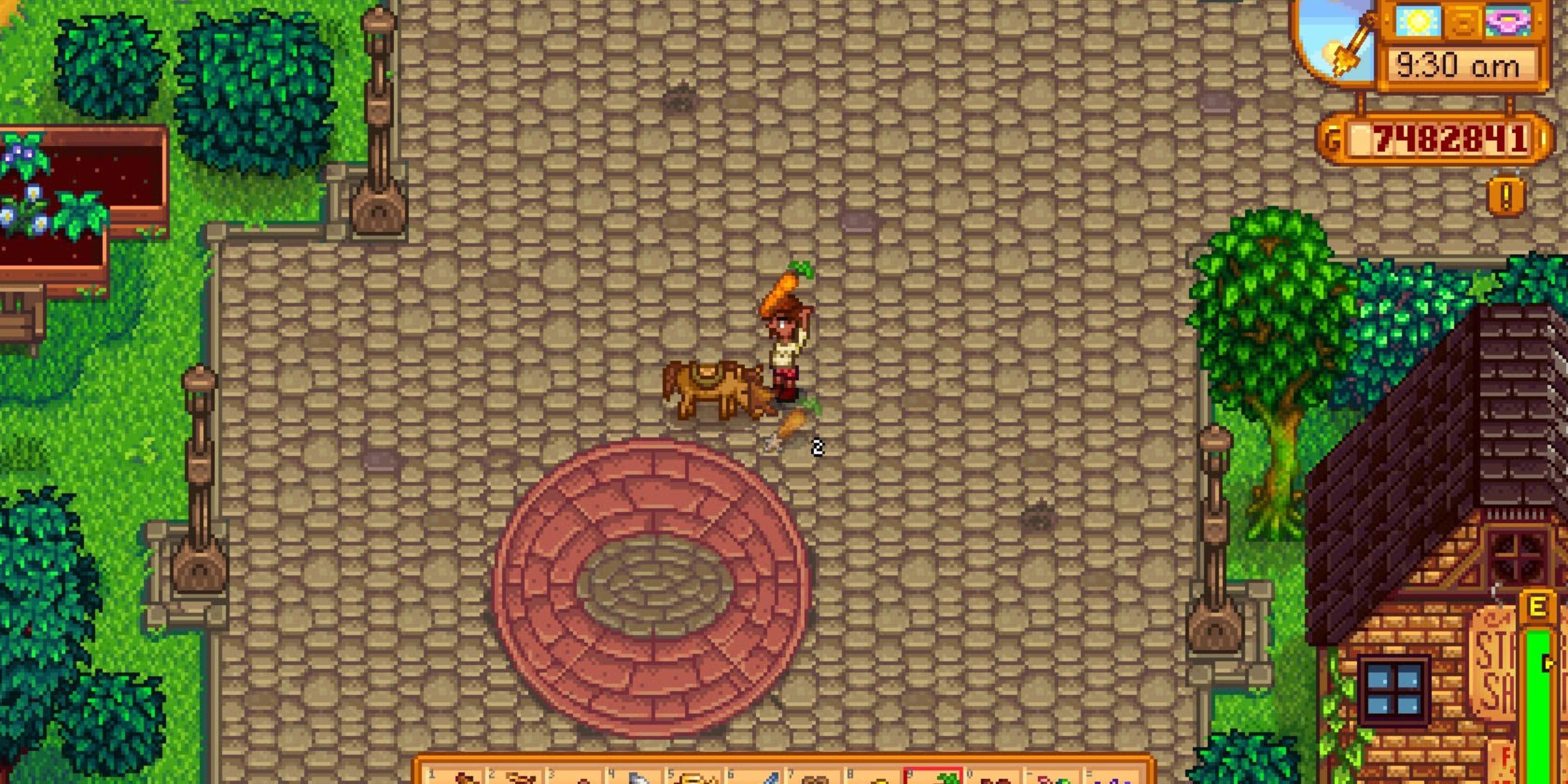 Feed Your Horse Carrots in Stardew Valley