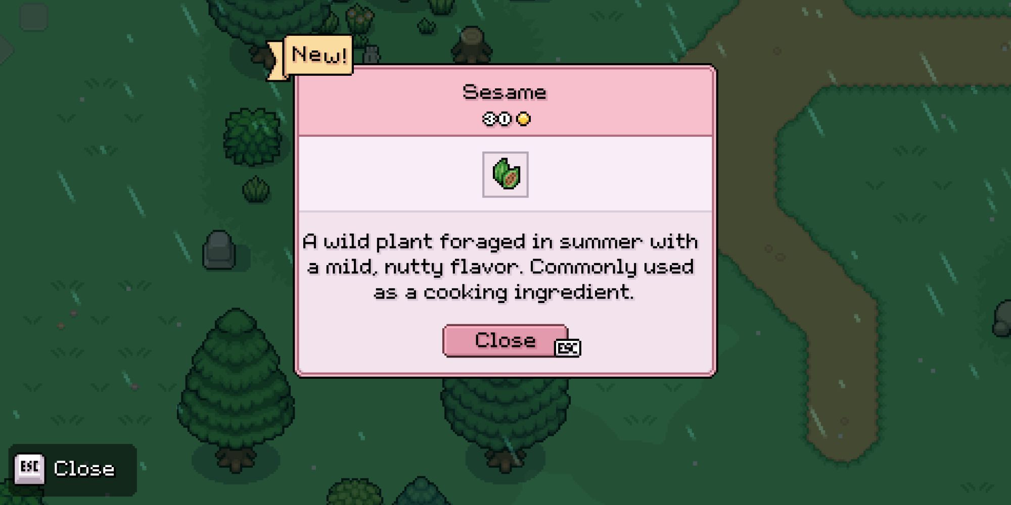 Where To Find Sesame In Fields Of Mistria