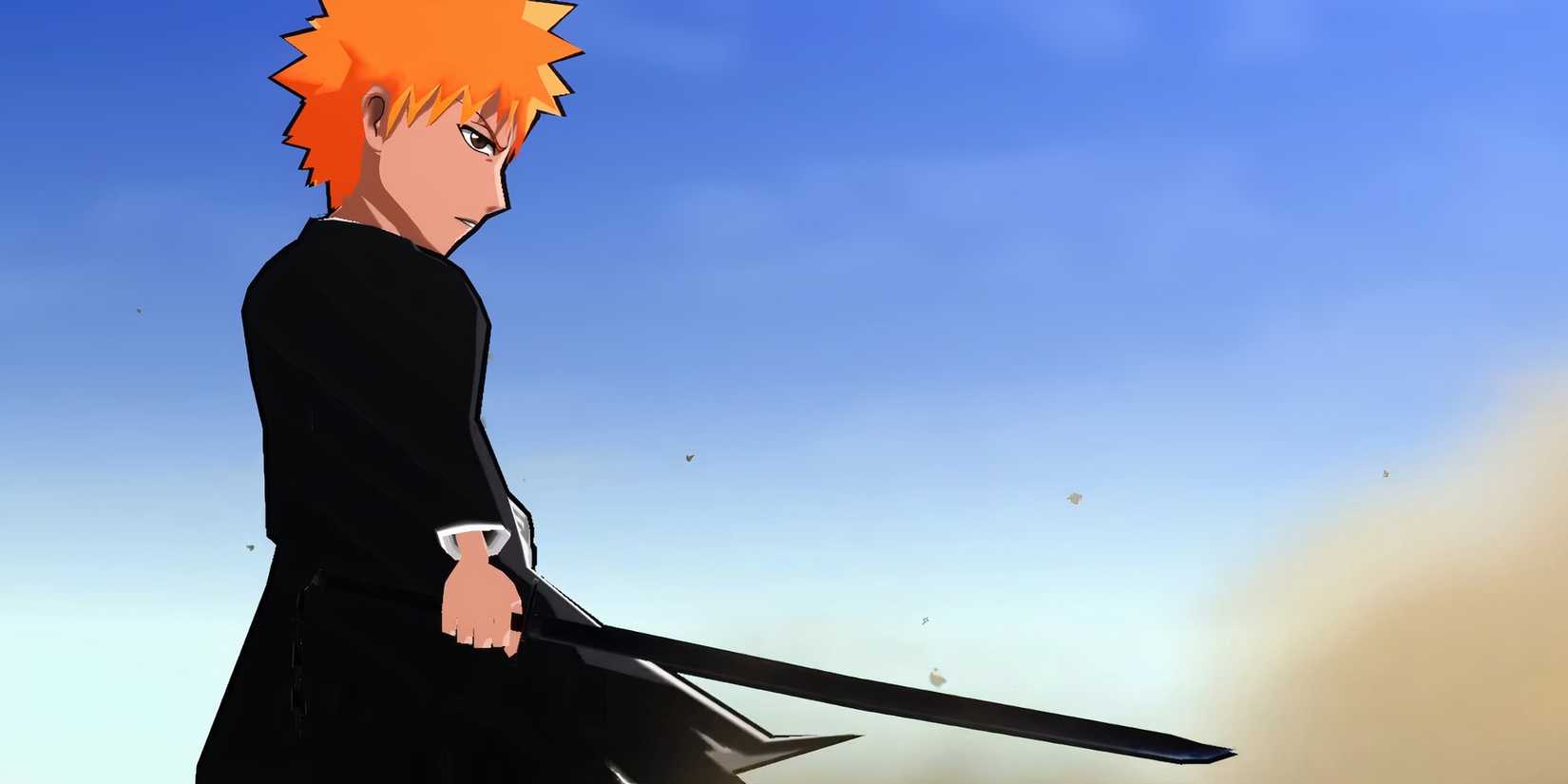 Fierce Battle Ichigo