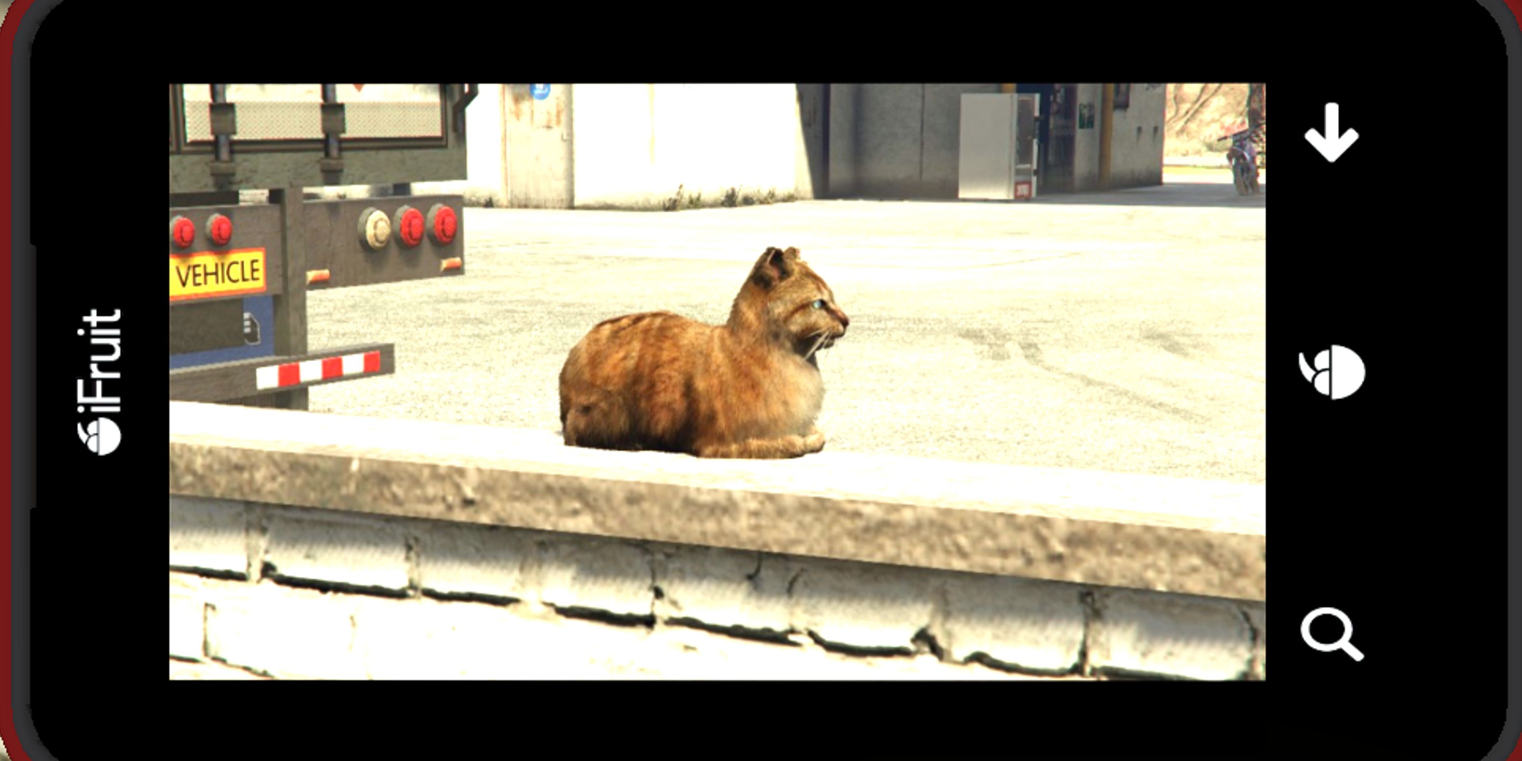 GTA Online: Where to Find Cats