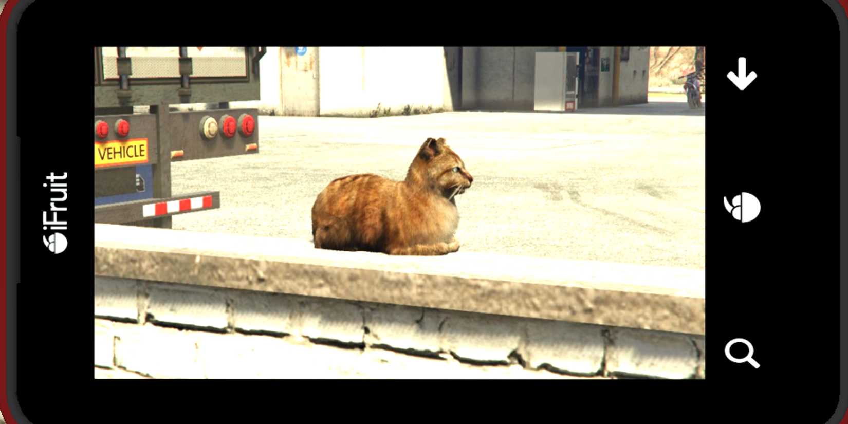 gta-online-cat-phone