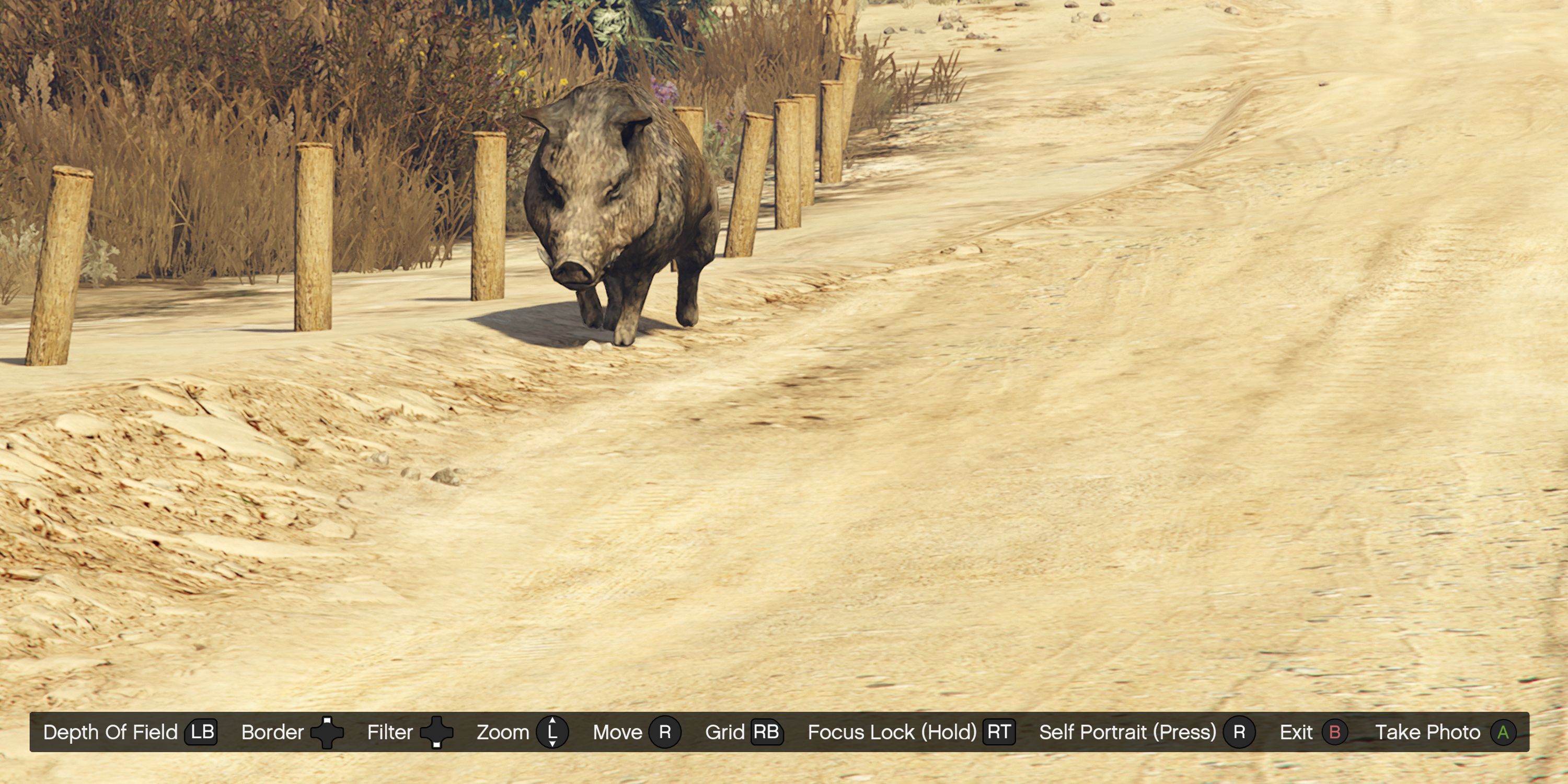 GTA Online: Where to Find Boars