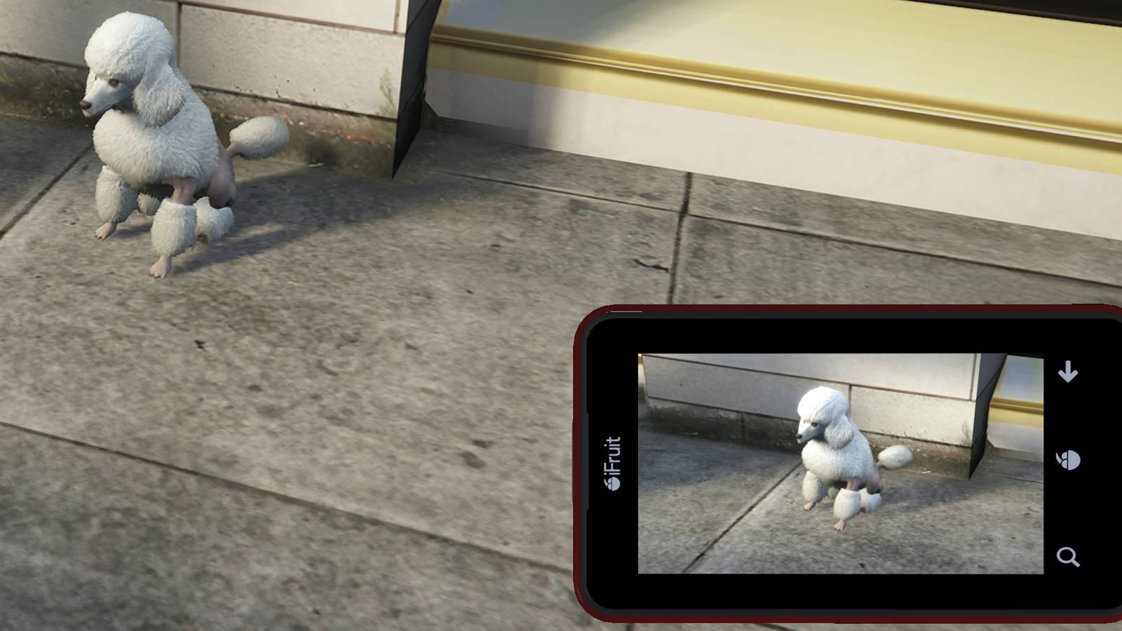 gta-online-poodle-locations