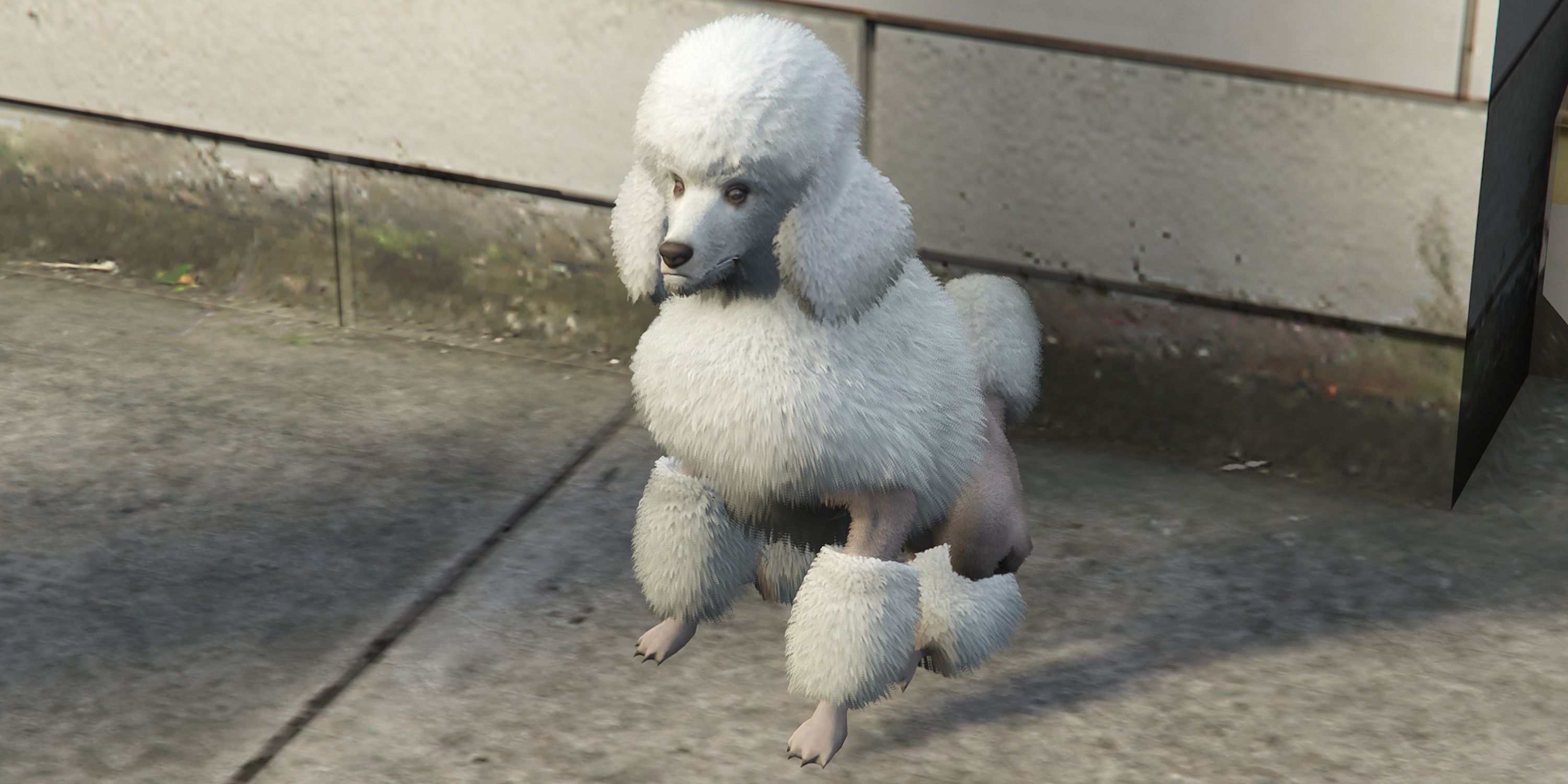 GTA Online: Poodle Locations