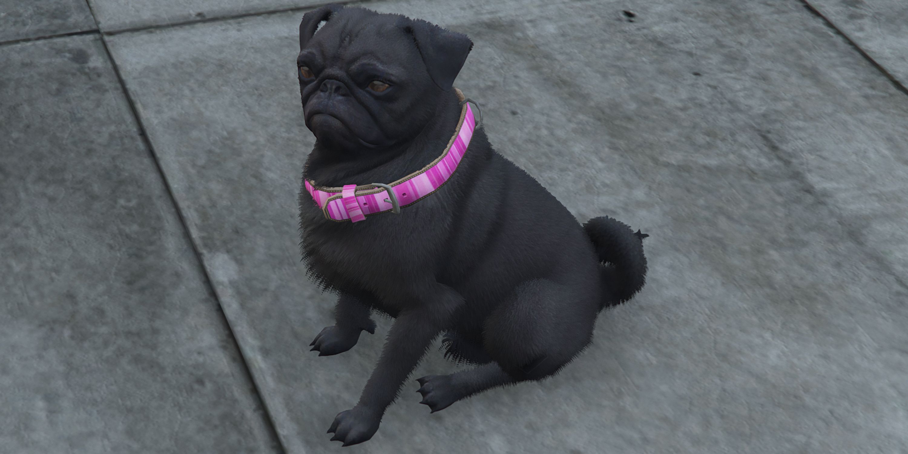 GTA Online: Pug Locations