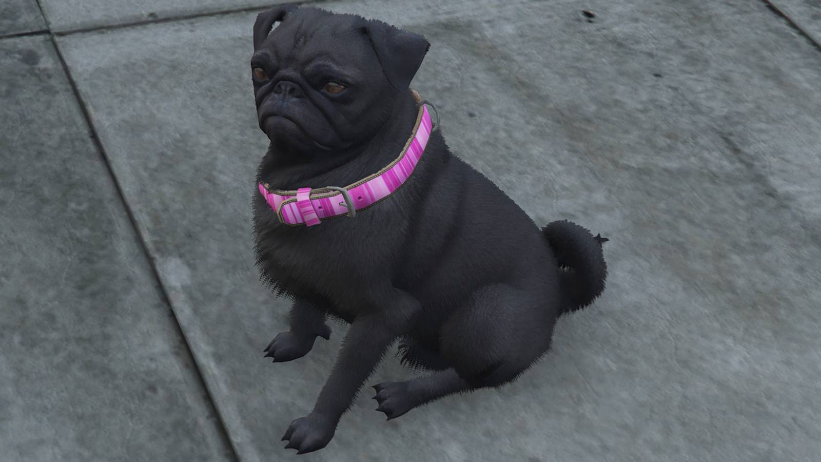 gta-online-pug-locations