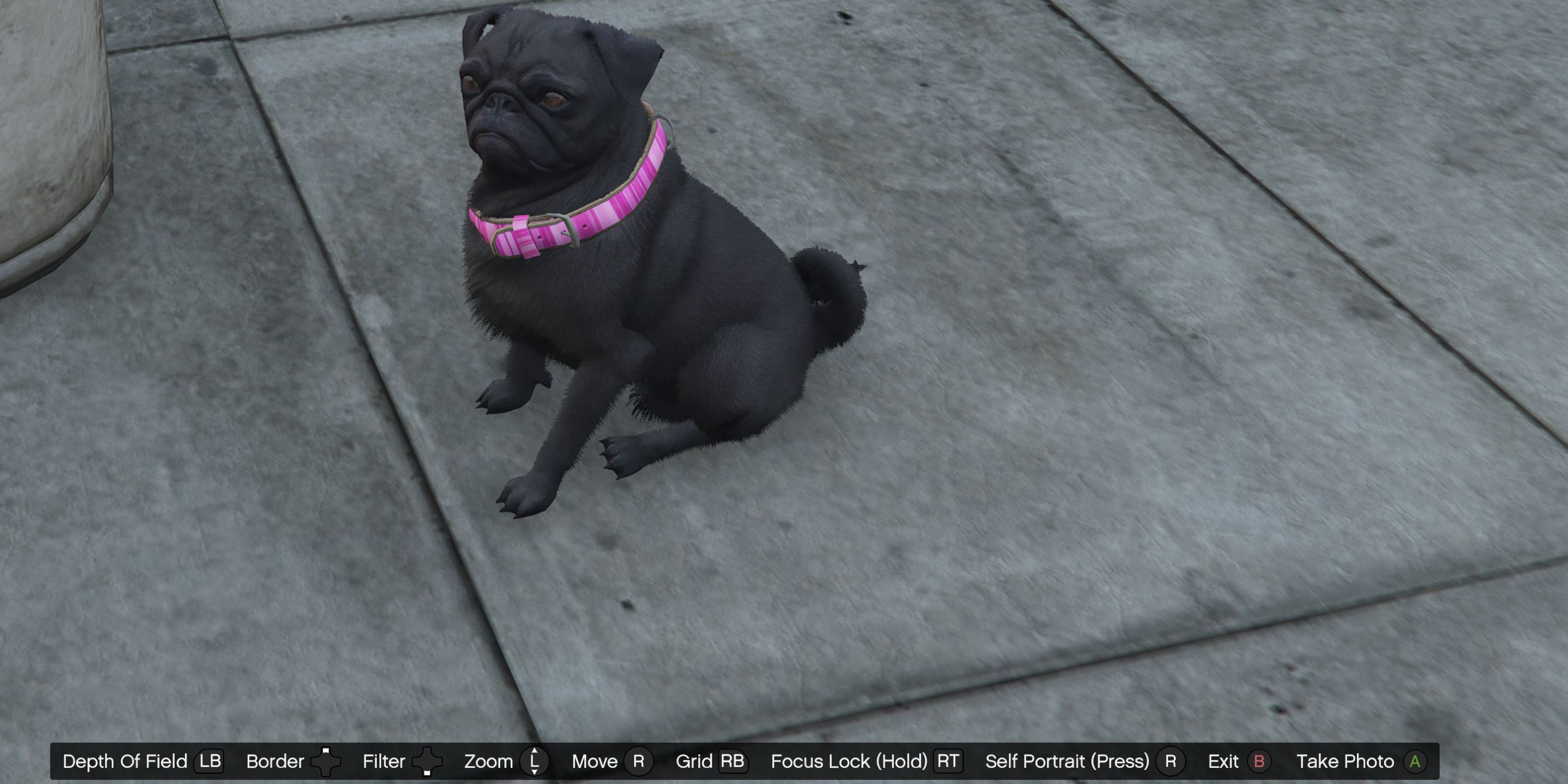 GTA Online: Pug Locations