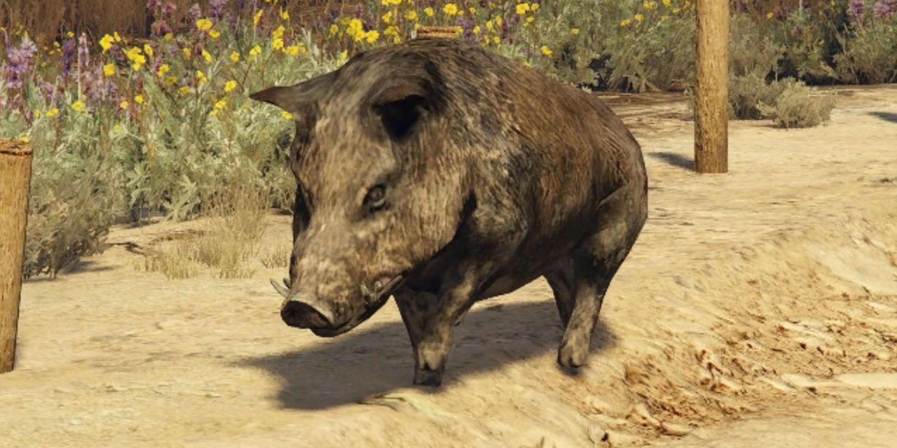 GTA Online: Where to Find Boars