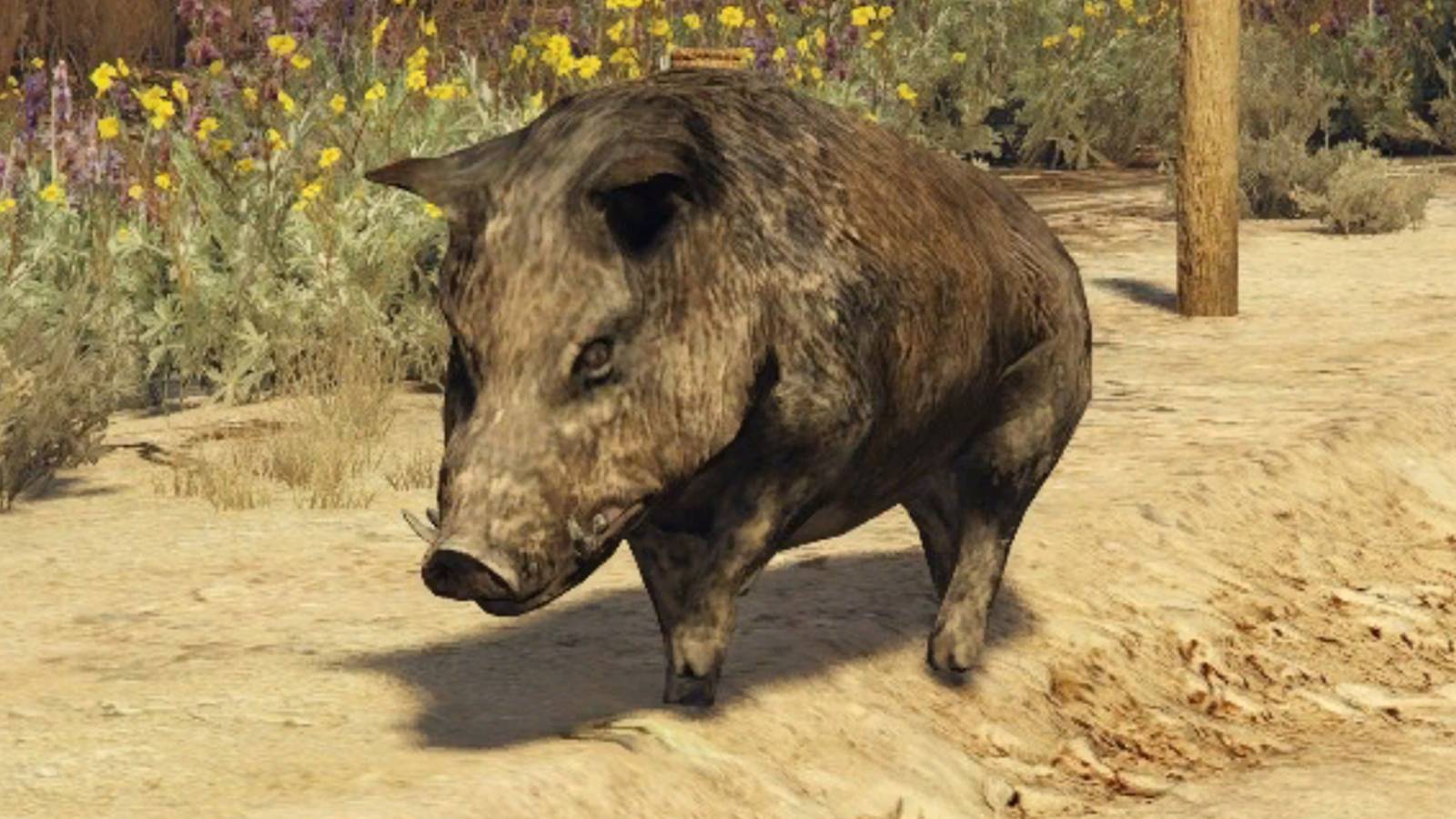 gta-online-where-to-find-boars