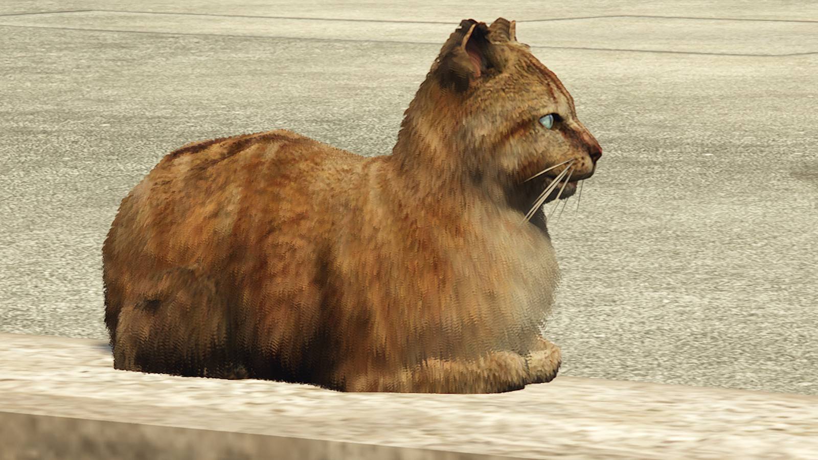 gta-online-where-to-find-cat