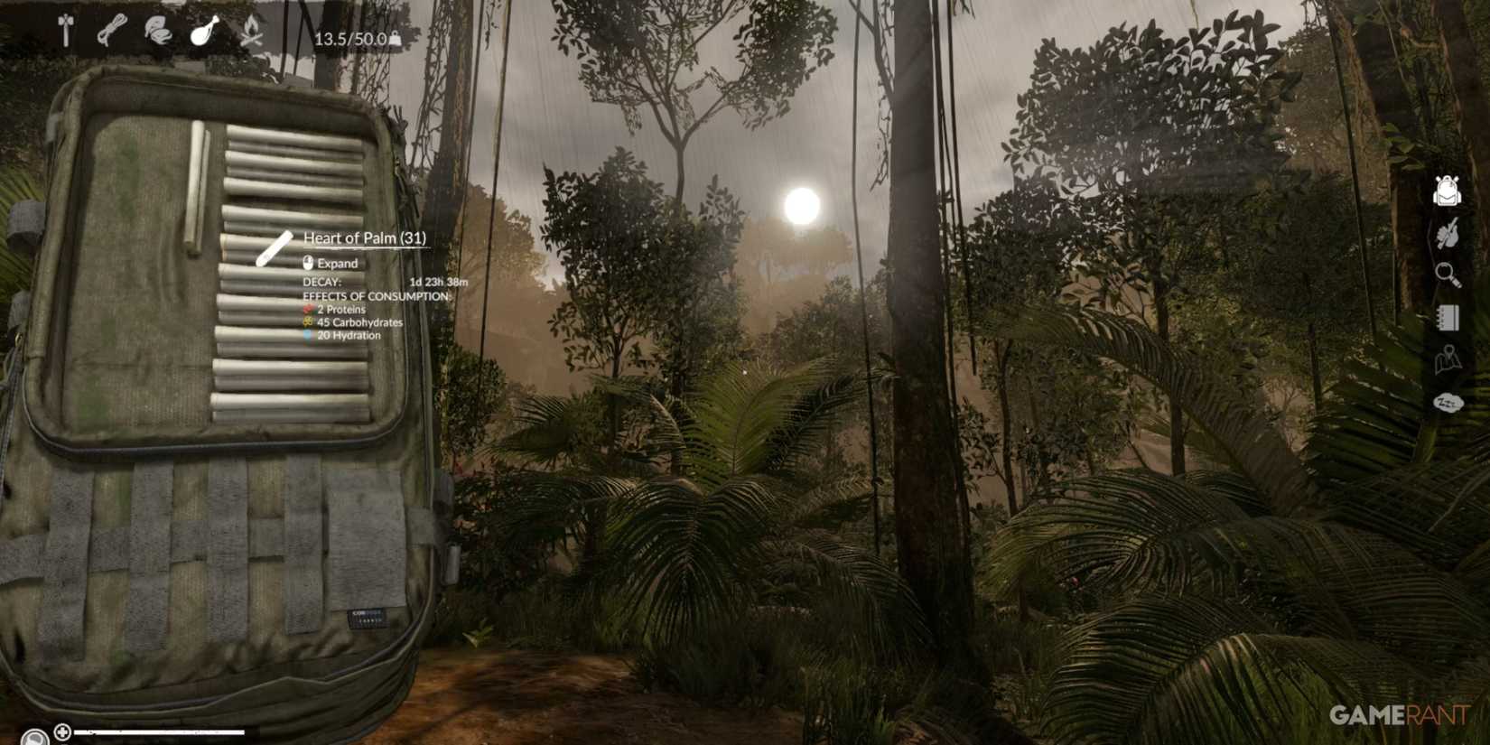 Heart of Palm for carbohydrates and hydration, a vital resource in the dense forest in Green Hell