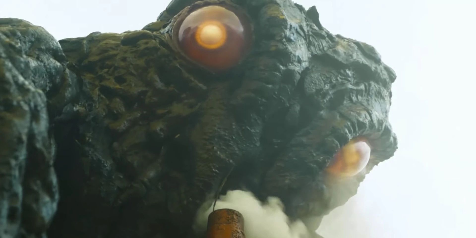 Godzilla: Who is Hedorah?