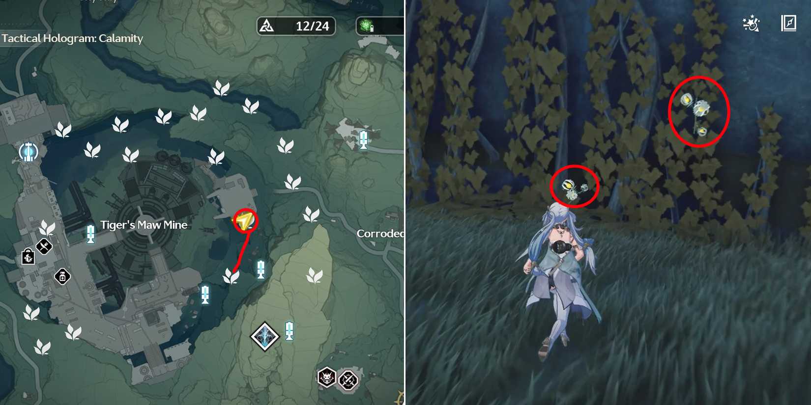 lanternberry location 10-11 in wuthering waves