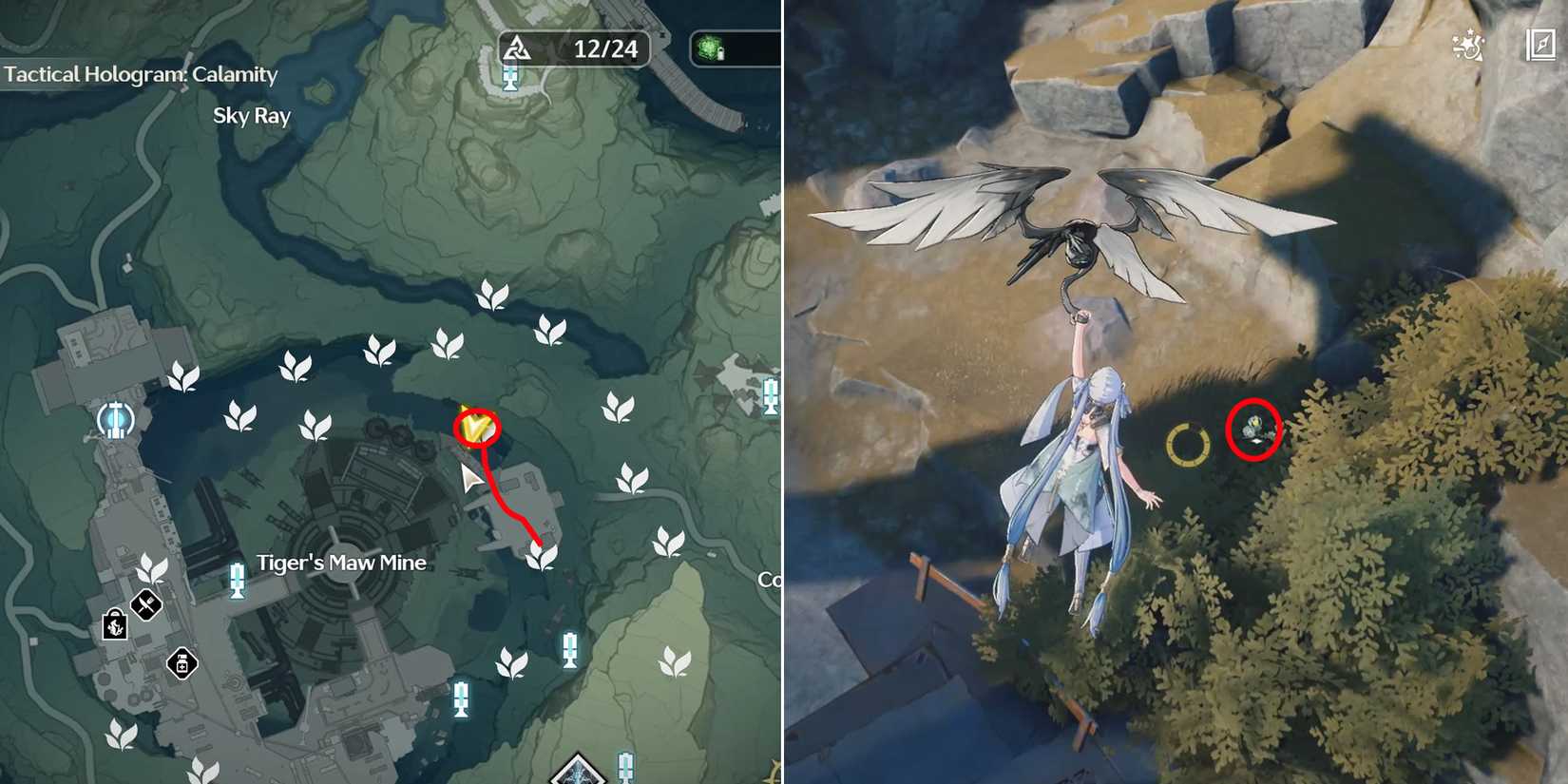 lanternberry location 12 in wuthering waves