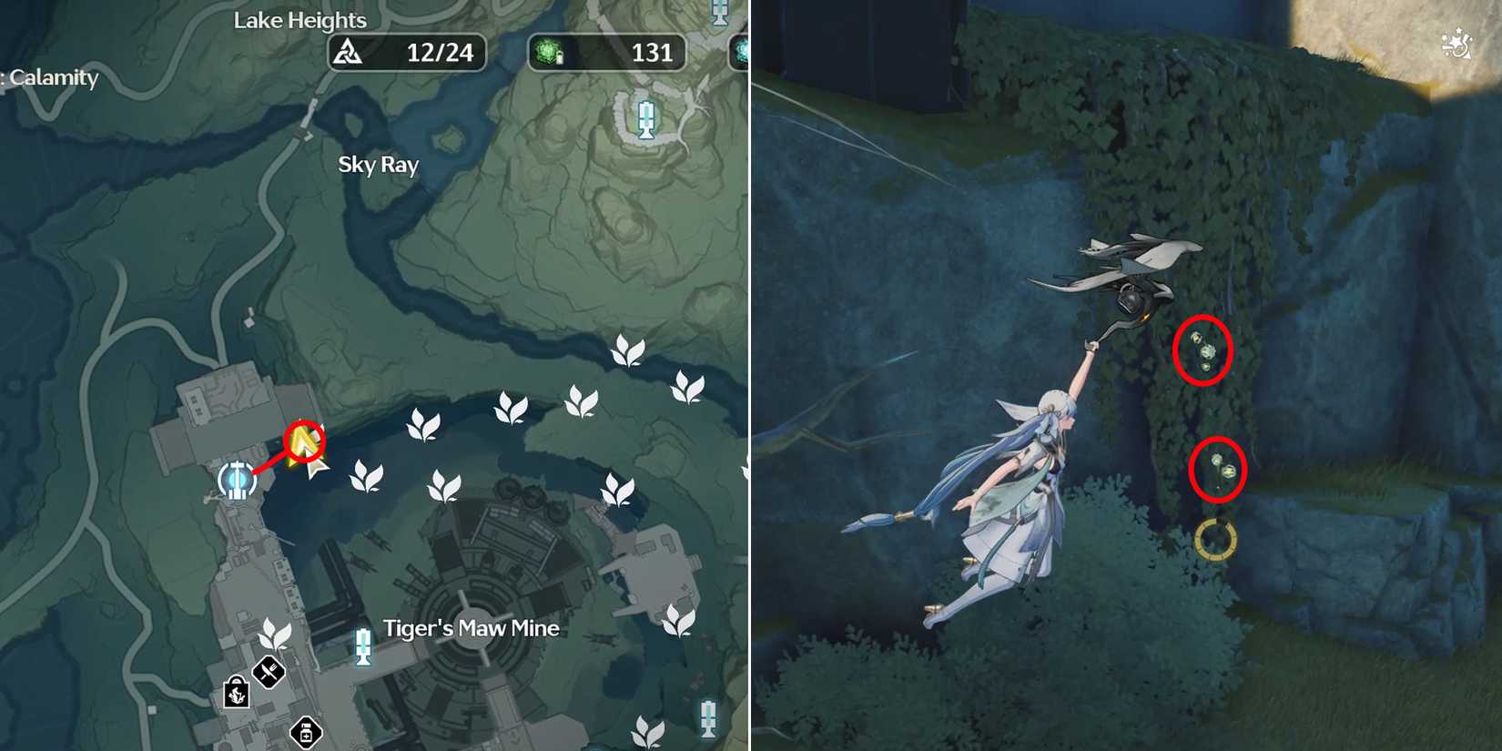 lanternberry location 16-17 in wuthering waves