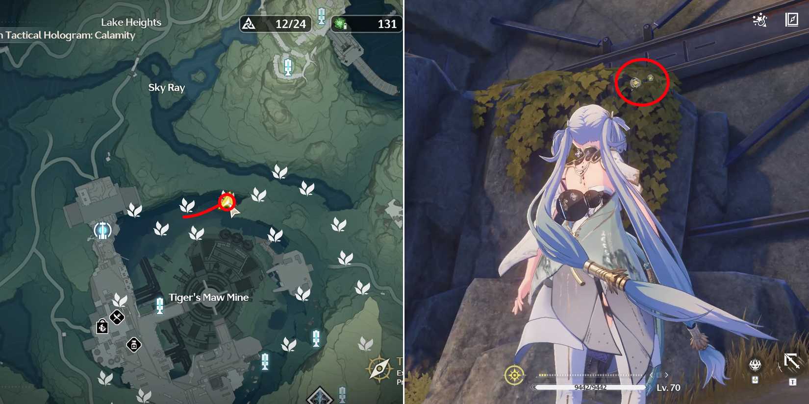 lanternberry location 19 in wuthering waves