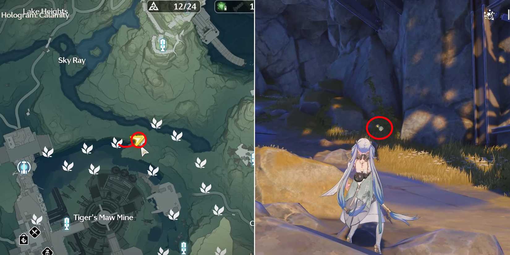 lanternberry location 20 in wuthering waves