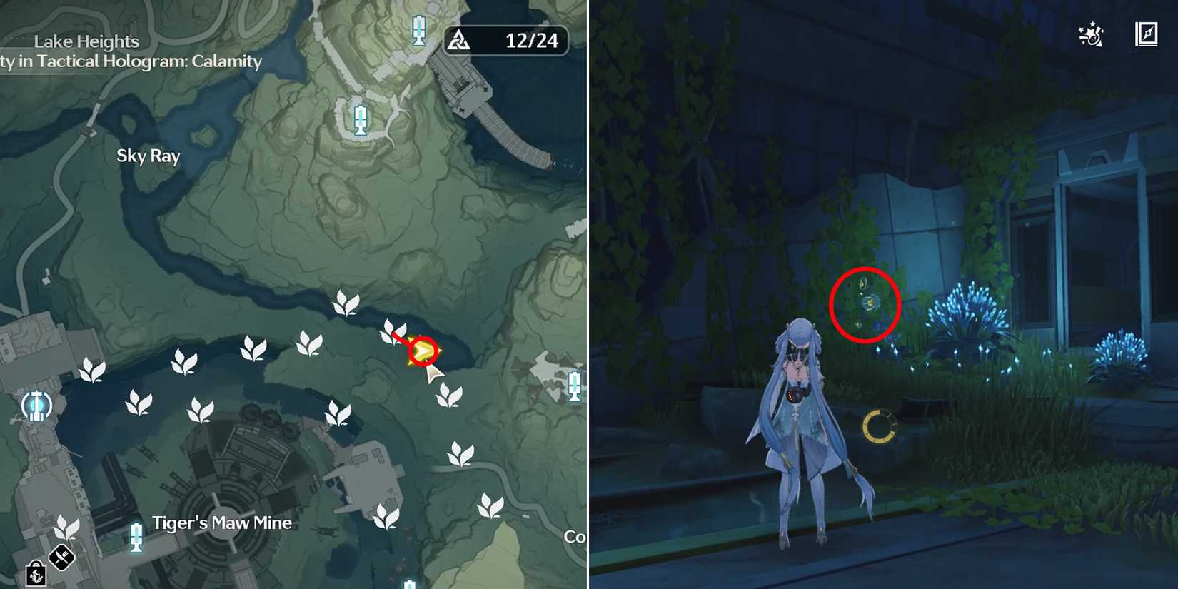 lanternberry location 23 in wuthering waves