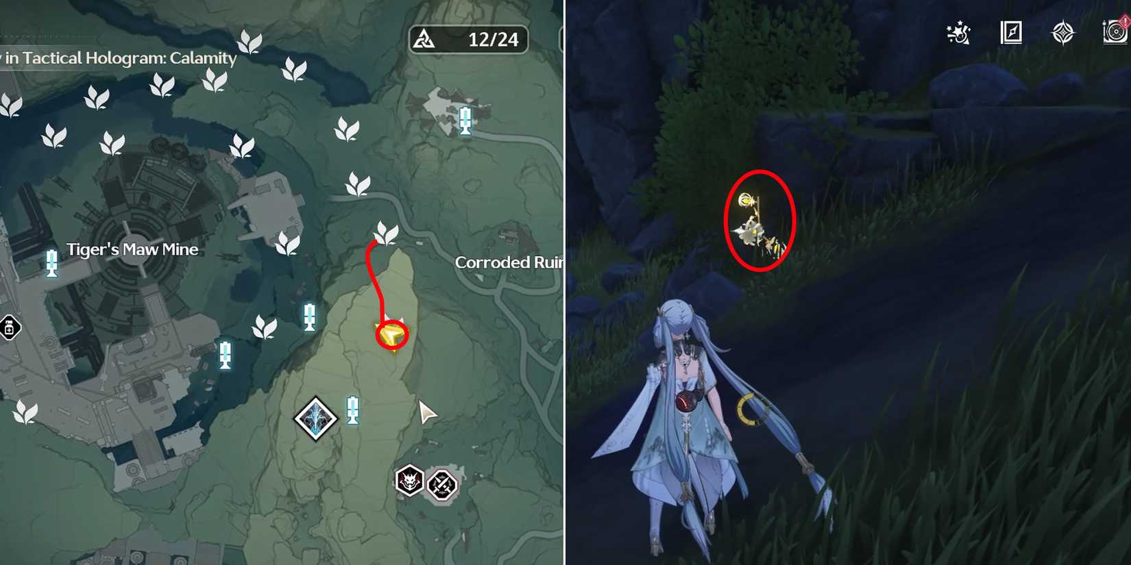 lanternberry location 29 in wuthering waves