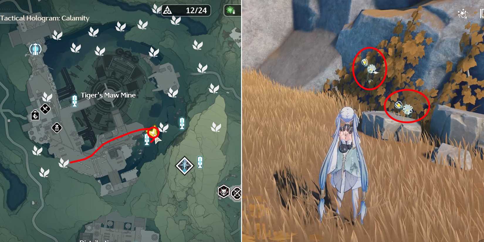 lanternberry location 7-8 in wuthering waves