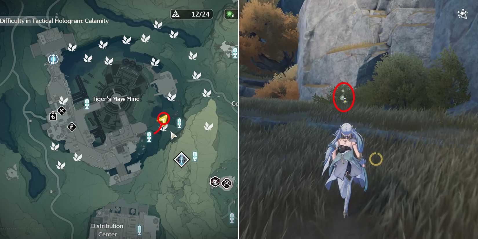 lanternberry location 9 in wuthering waves