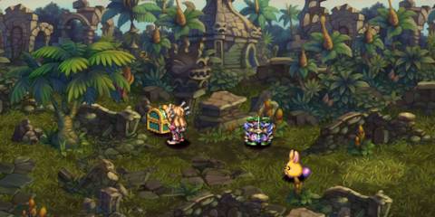 Standing in front of a chest in a jungle