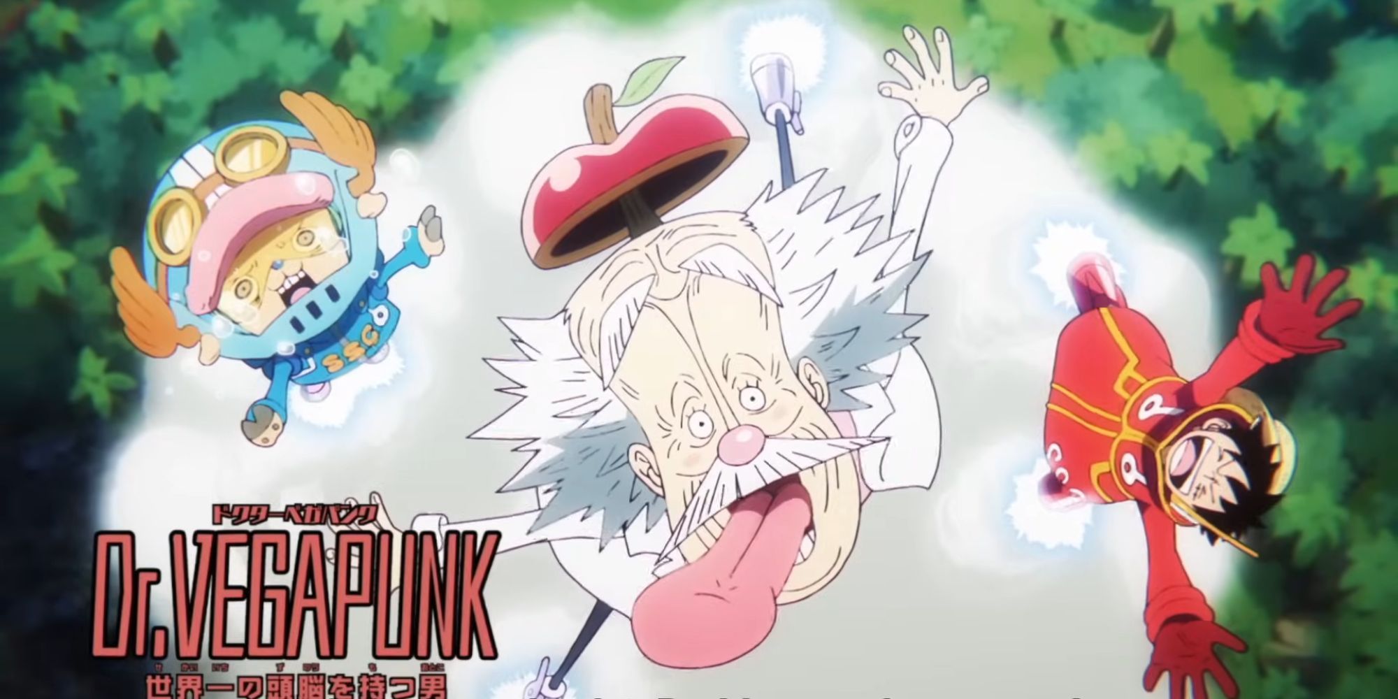 One Piece: The Special Science Group, Explained