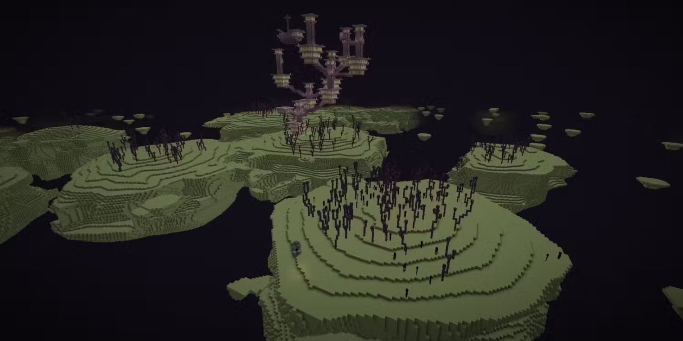 Minecraft Player Terraforms The End With Overworld Biomes