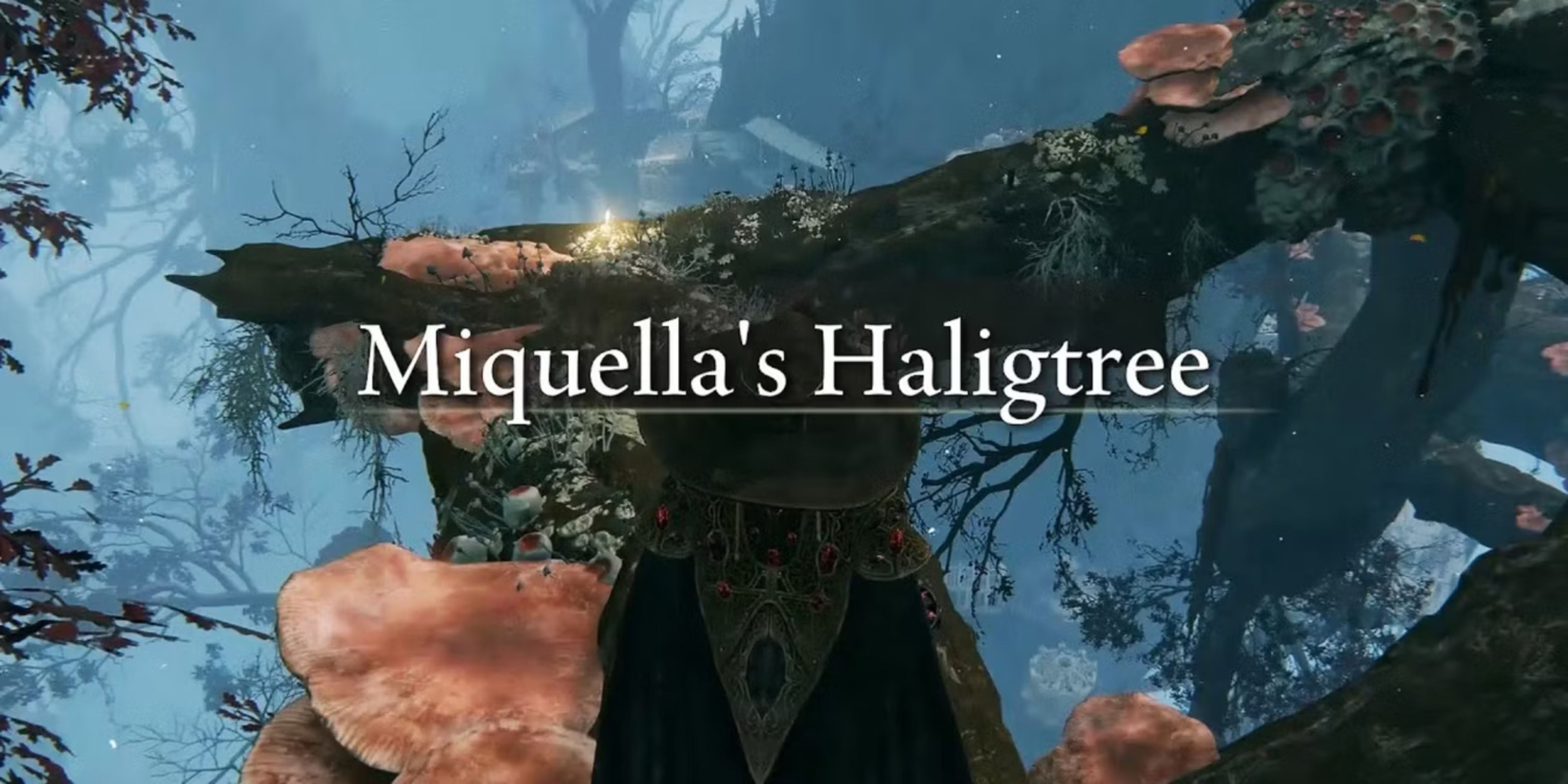 Miquella's Haligtree_Elphael in Elden Ring