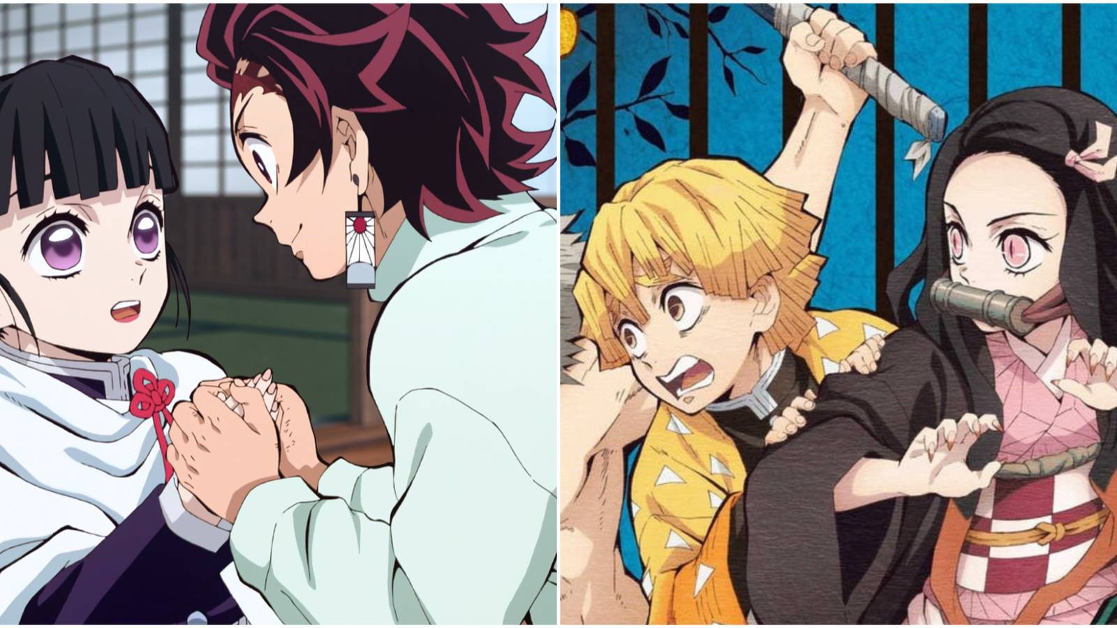 Demon Slayer: Best Canon Couples