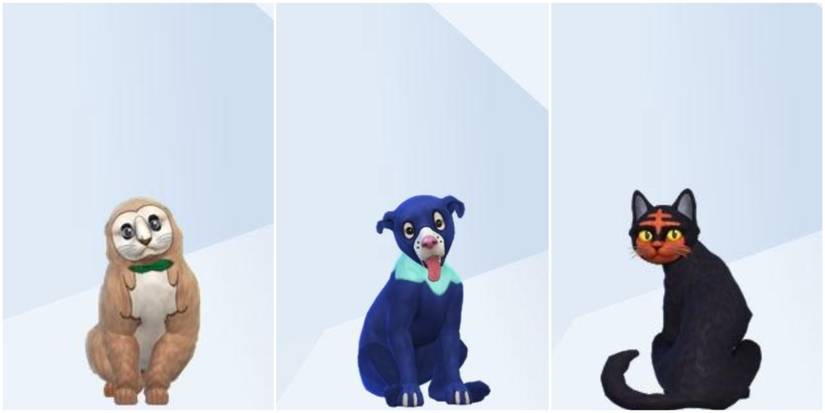 An image of the Alolan starters from Pokémon recreated in The Sims 4