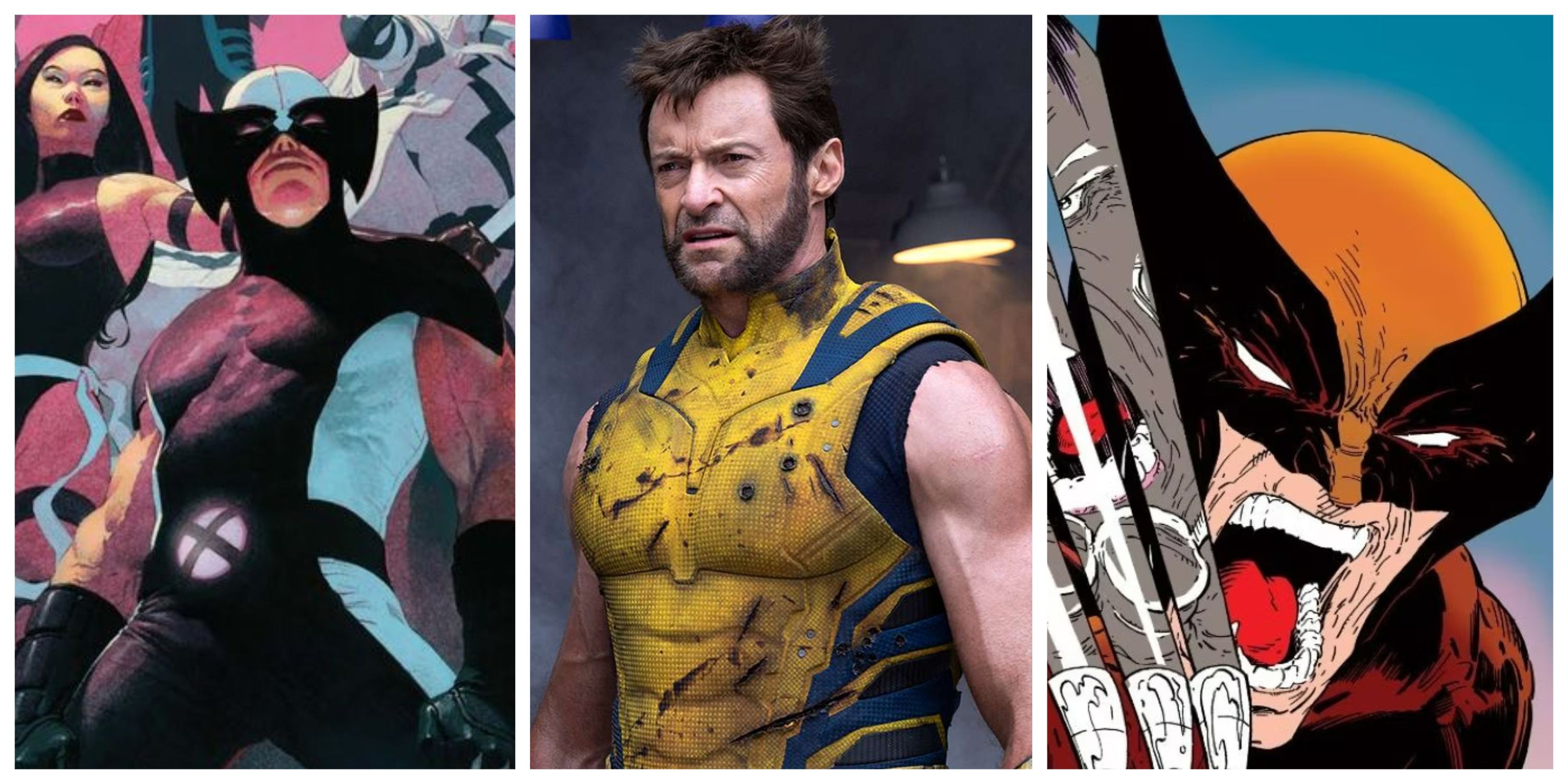 Best Comics For A Wolverine Movie Post-Deadpool & Wolverine