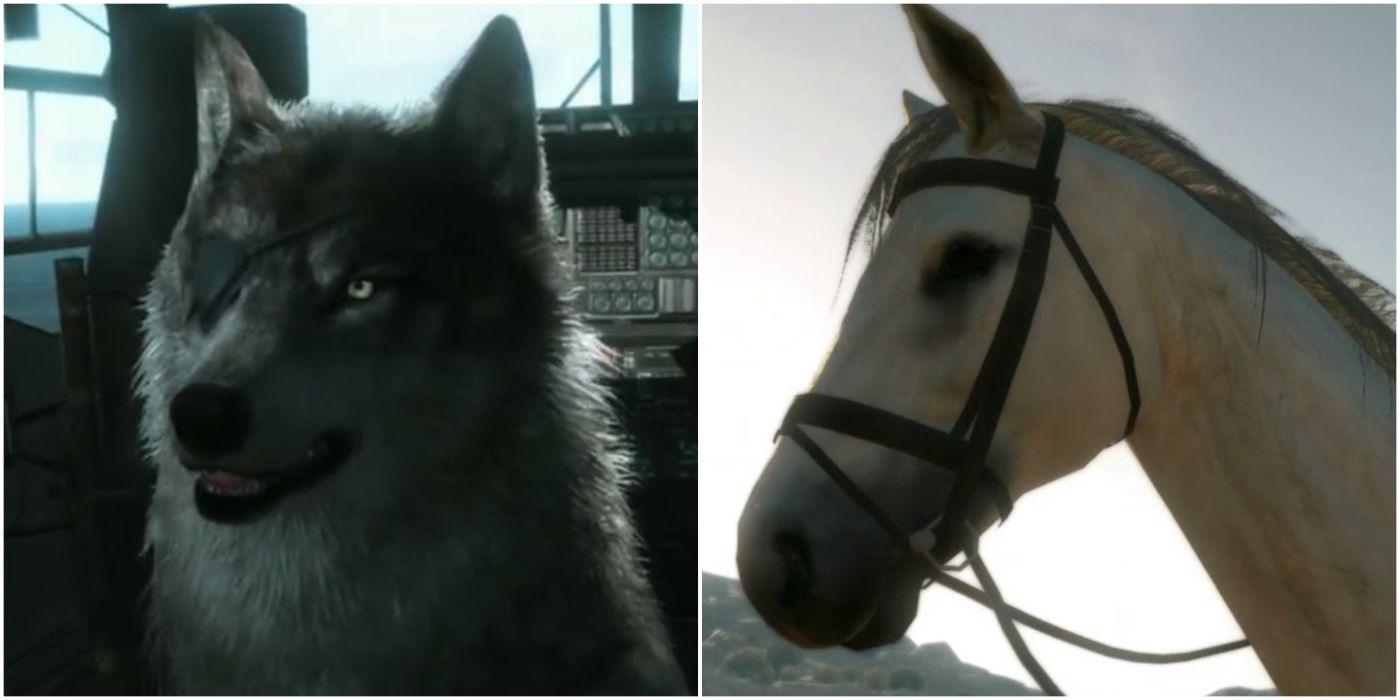 An image of D-Dog and D-Horse from Metal Gear Solid V