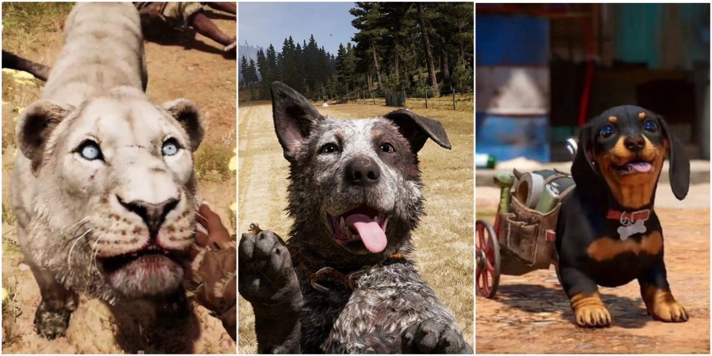 A collage of a lion from Far Cry Primal, Boomer the dog from Far Cry 5 and Chorizo the dog from Far Cry 6