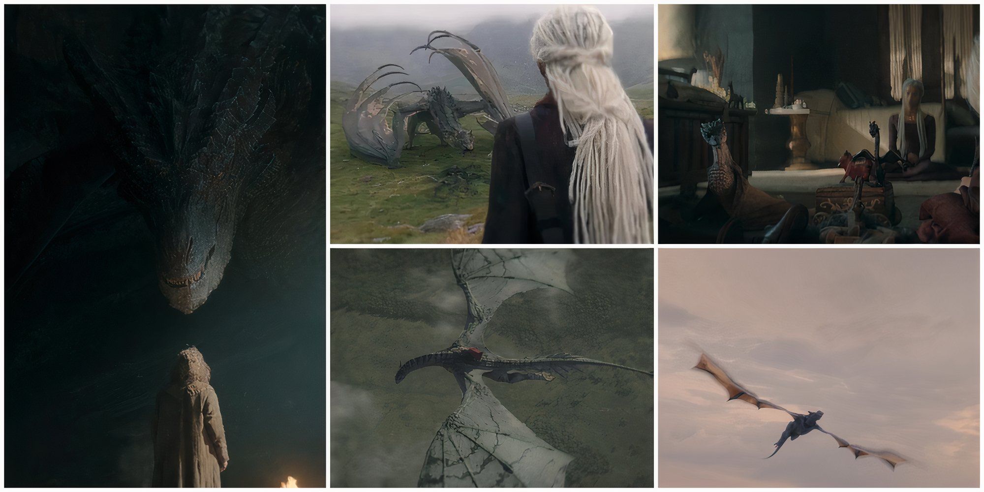 The Five New Dragons In House of the Dragon Season 2