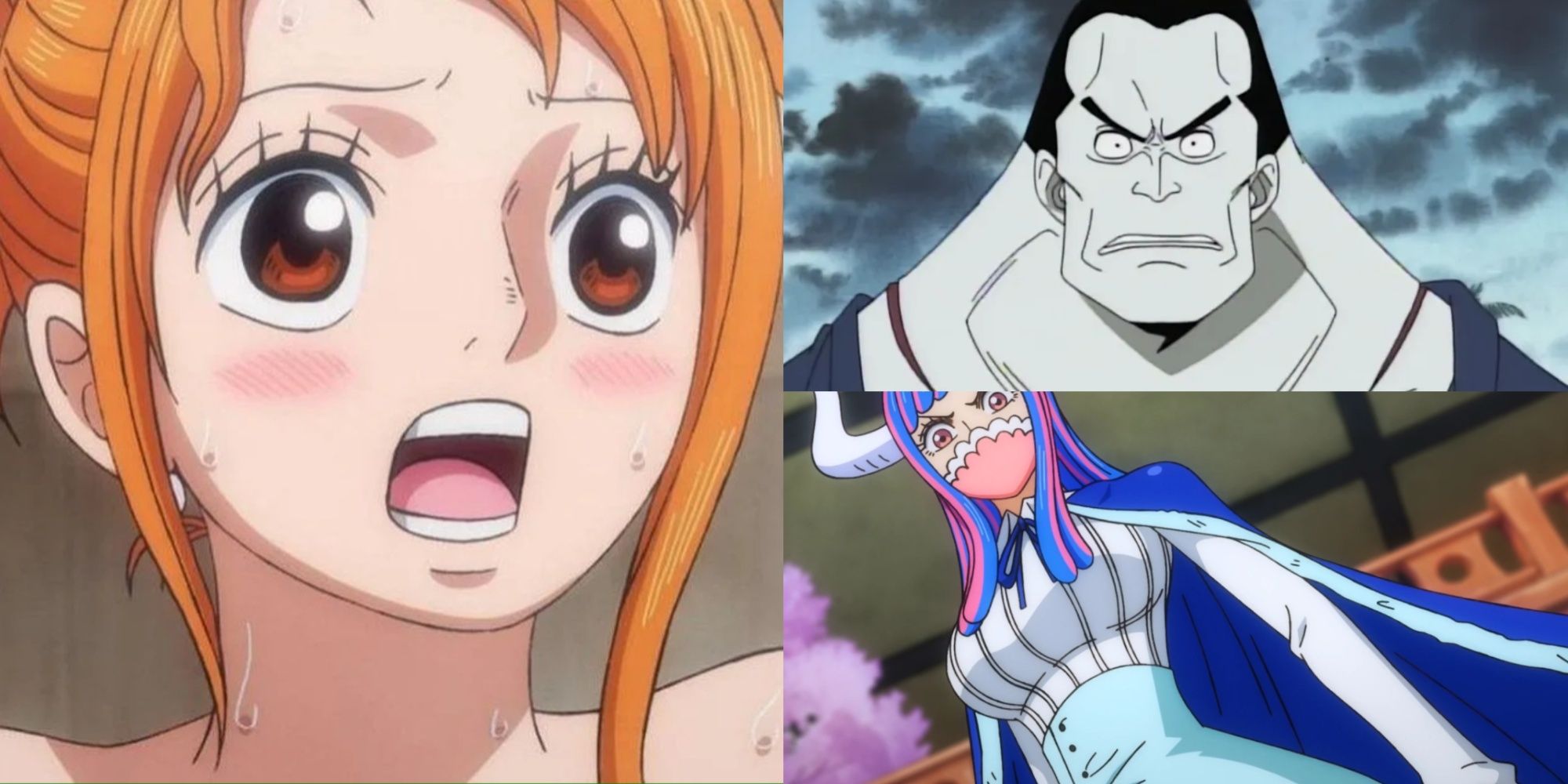 One Piece: Characters Who Hate Nami The Most