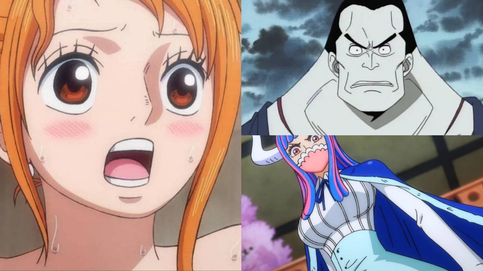 One Piece: Characters Who Hate Nami The Most