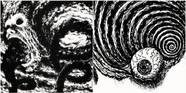 Best Manga Like Junji Ito s Uzumaki Best Manga Like Junji Ito s Uzumaki
