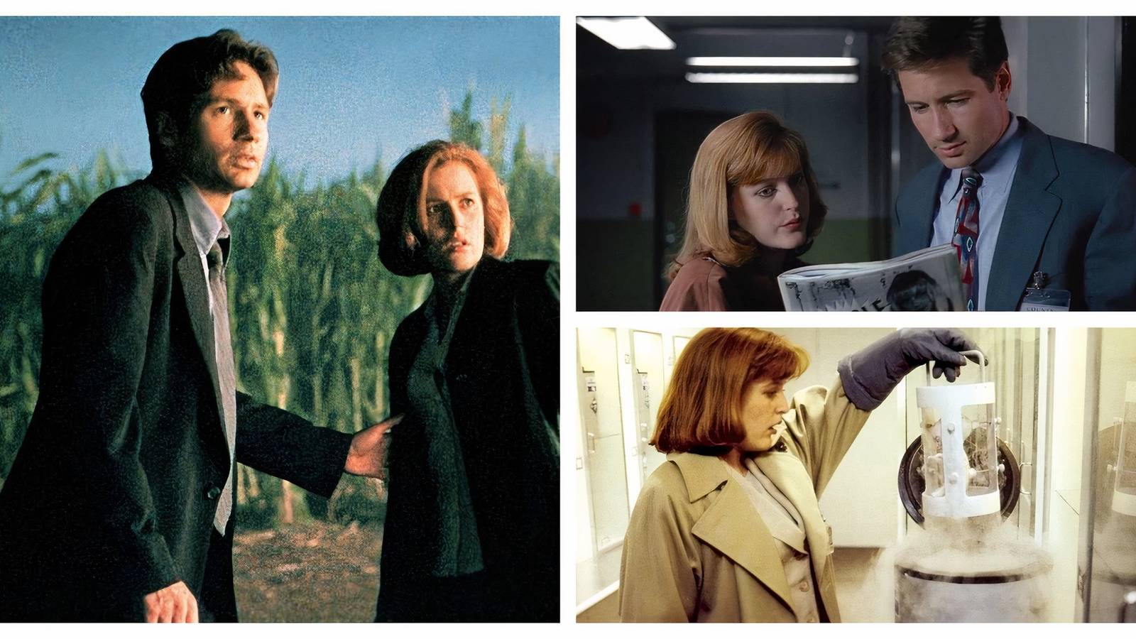 Left: Mulder and Scully in a corn field. Top-Right: Scully and Mulder reading a newspaper. Bottom-right: Scully pulling out an alien tissue sample from a cryo chamber.