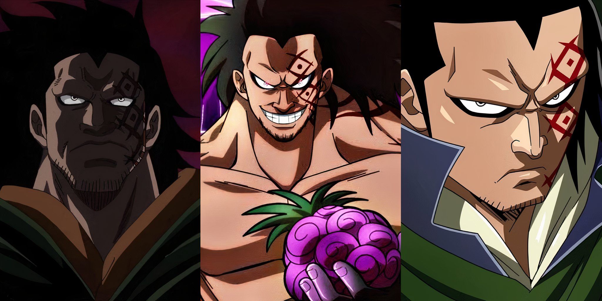 One Piece: Devil Fruits Perfect For Monkey D. Dragon