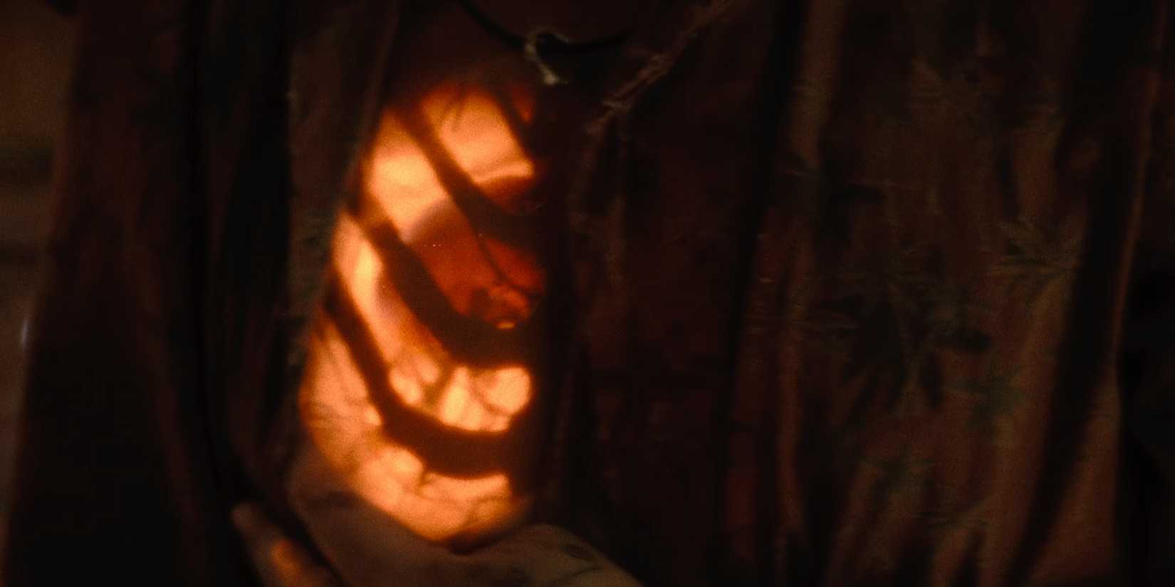 Navarro seeing an X-Ray of the chestburster in Alien Romulus