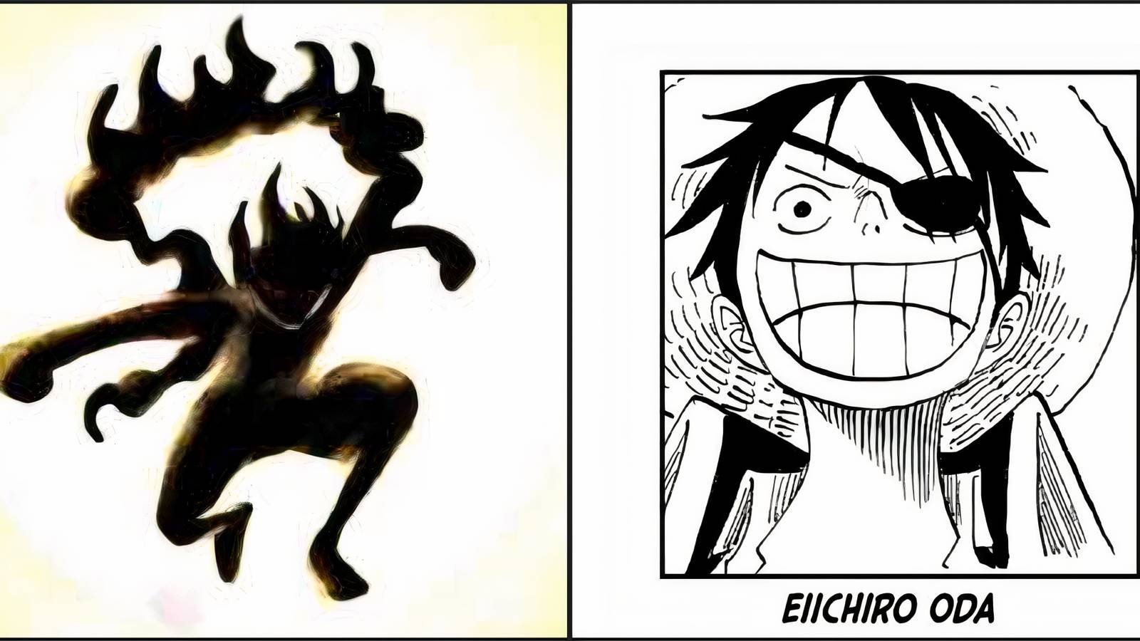 Oda Joy Boy Pirate With Eye Patch One Piece