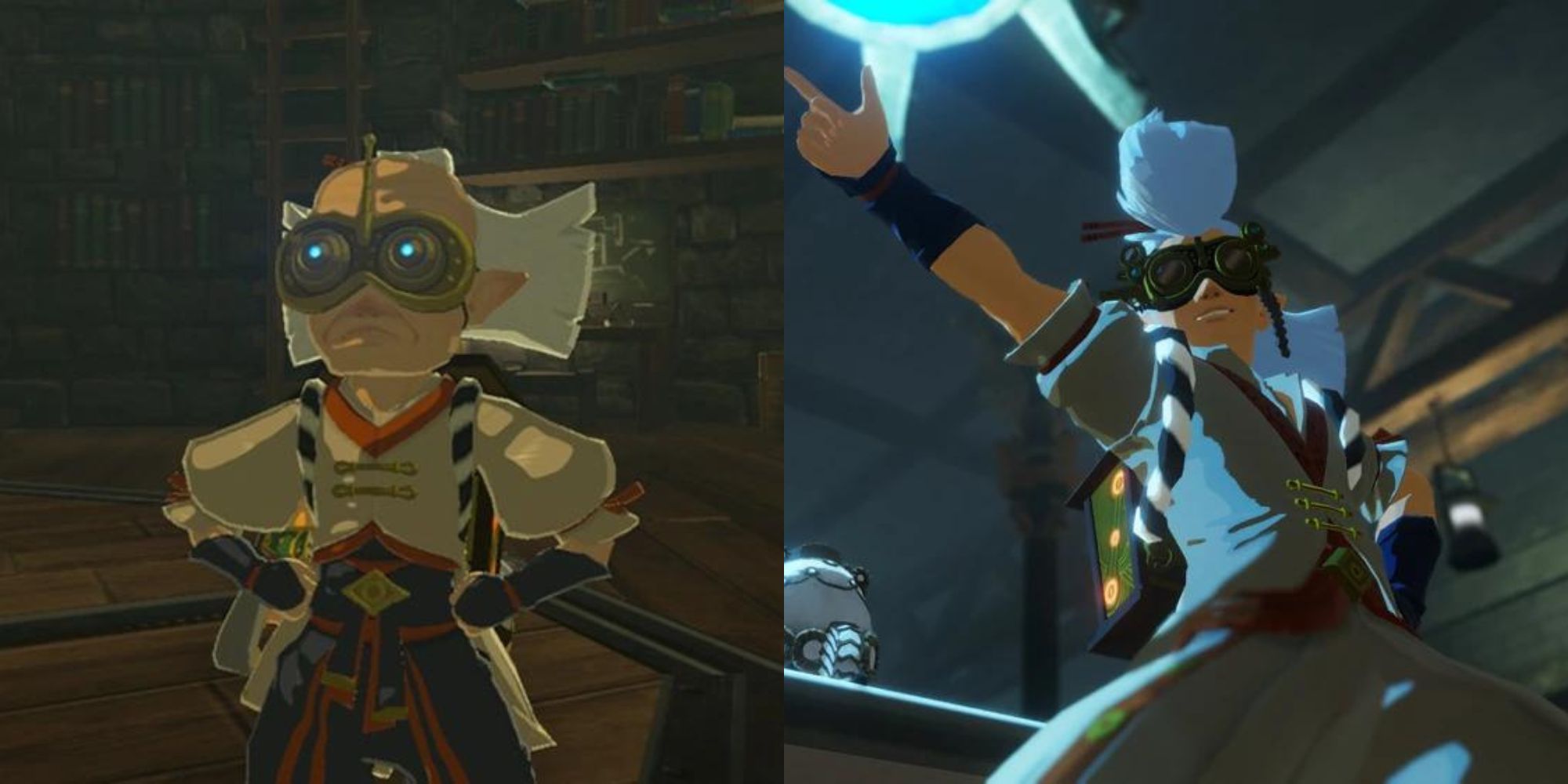 Best Sheikah Characters In Zelda Games