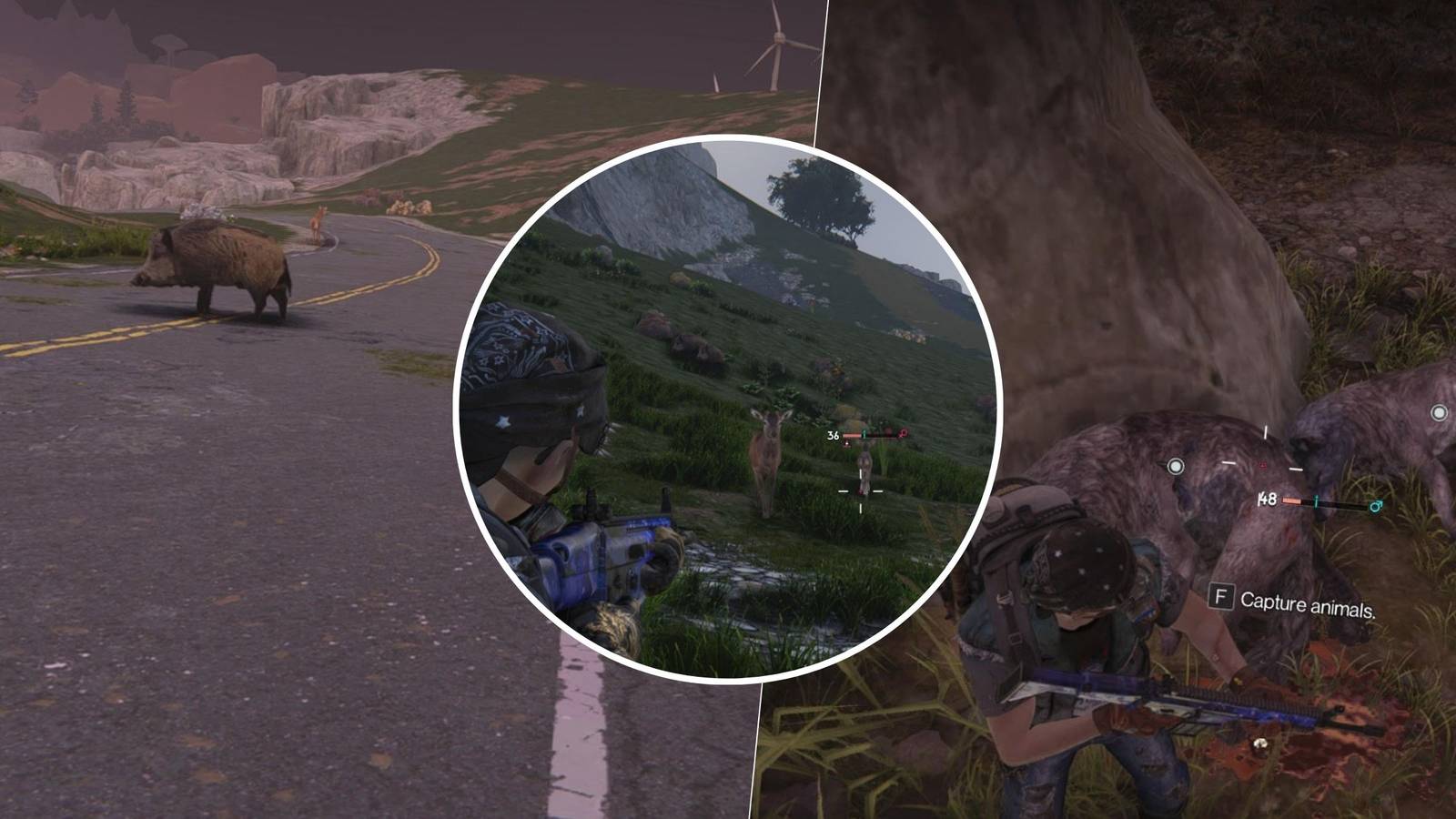 Once Human Tameable Animals 