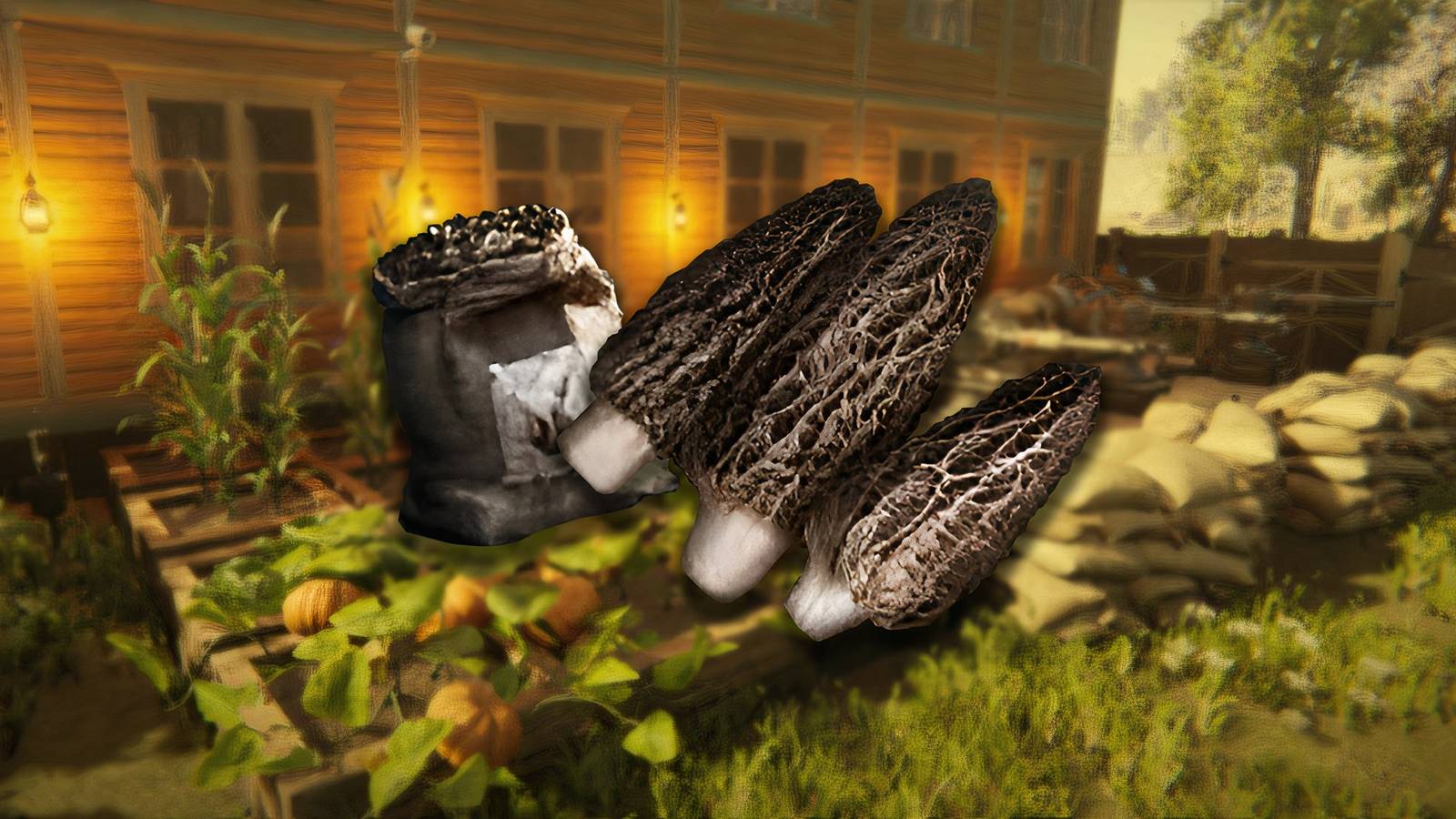 once-human-how-get-morel