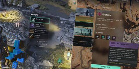 Once Human Stellar Planula