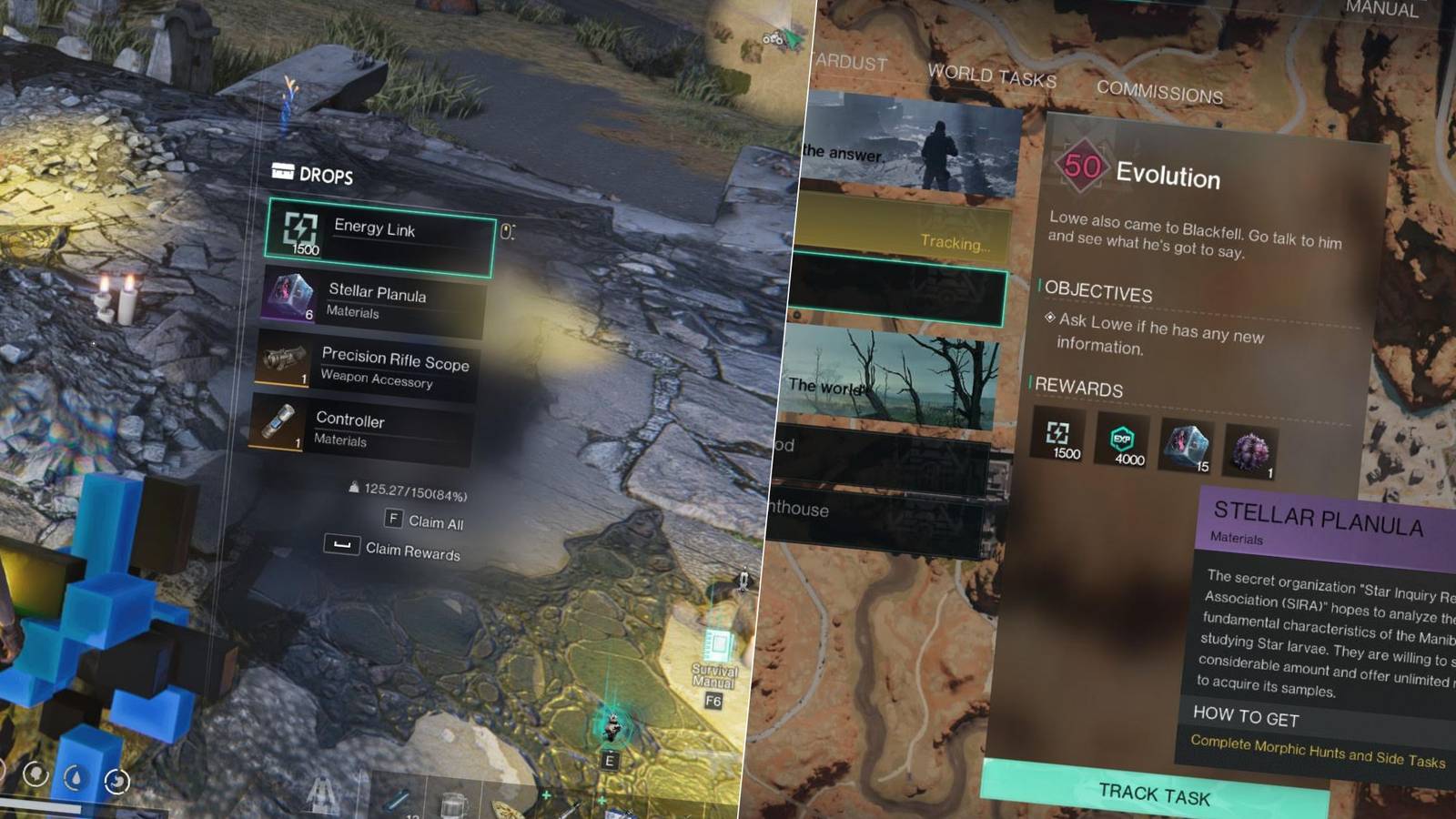 Once Human Stellar Planula