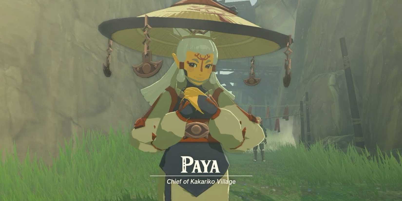 Paya's introduction as the new Chief of Kakariko Village.