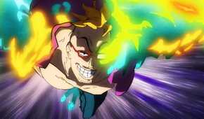 Marco from One Piece