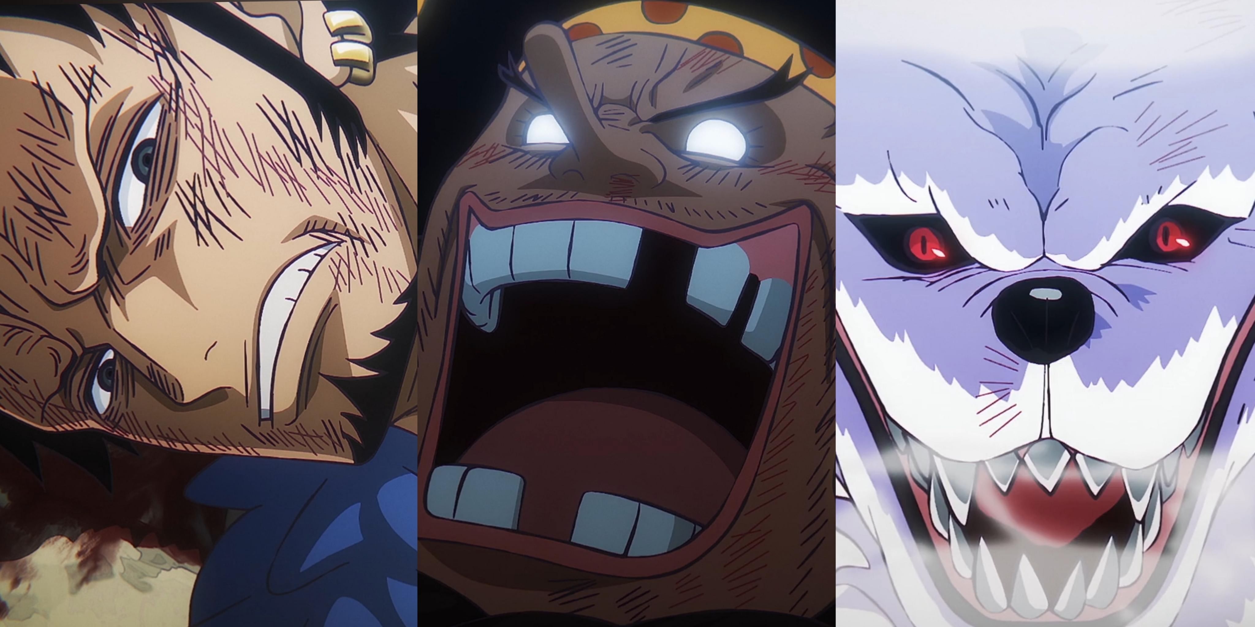 Featured Latest One Piece Episode Finally Reveals The Fate Of Trafalgar Law